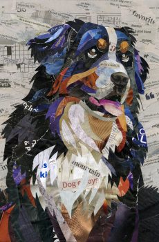 Bernese Mountain Dog by ZKTruth
